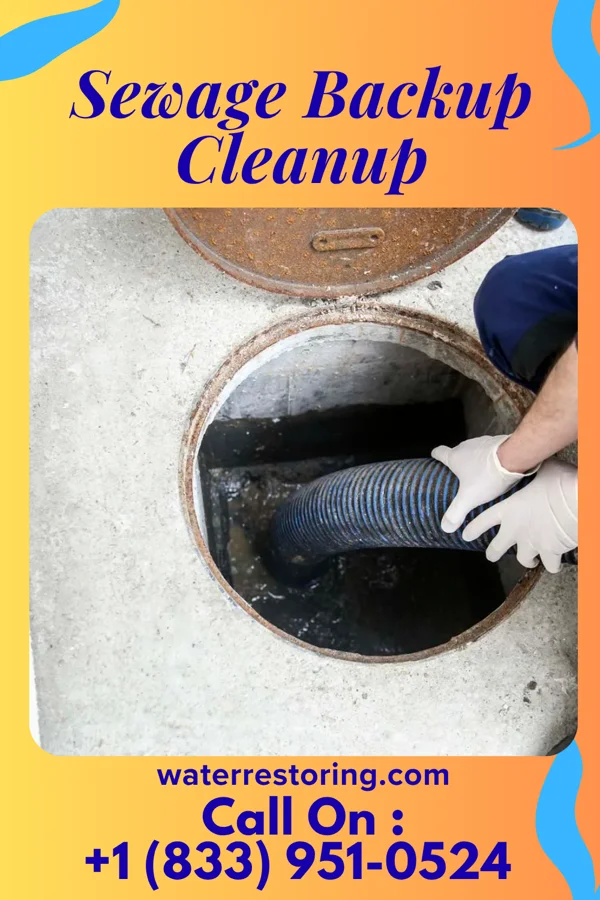 Sewage Backup Cleanup in Portsmouth, OH